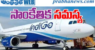 Indigo Flight
