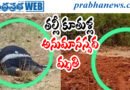 Eluru Suspicious Death