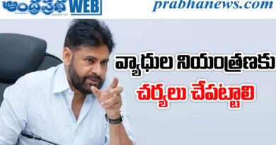 Pawan Kalyan Review