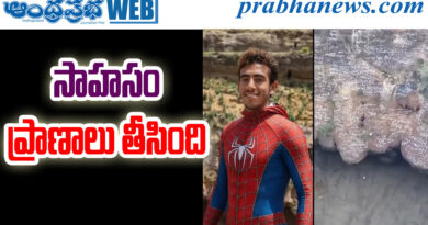 RealLife Spider Man