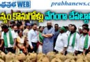 Paddy Procurement