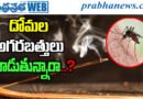 Mosquito Coil Ban