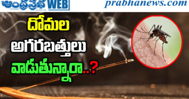 Mosquito Coil Ban