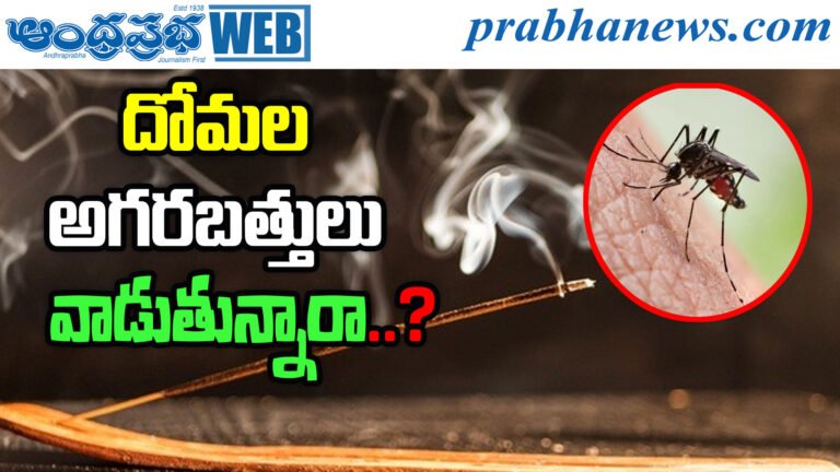 Mosquito Coil Ban