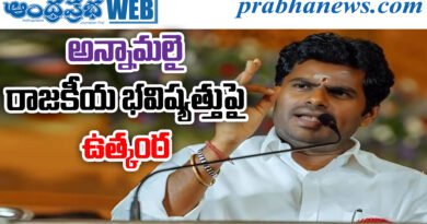 Annamalai Politics