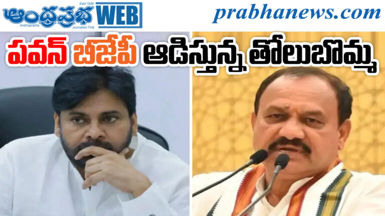 Telangana PCC President