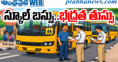 School Bus Safety Checks