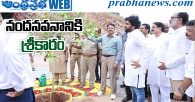 Pawan-Kalyan