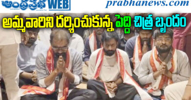 Peddi Movie