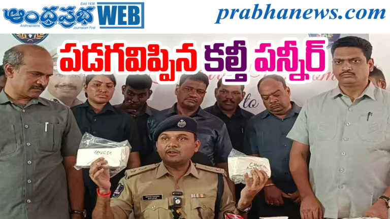 Fake Paneer Hyd