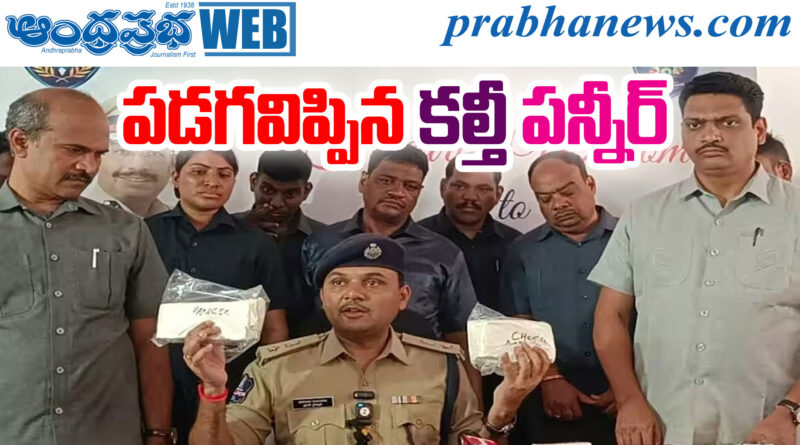 Fake Paneer Hyd