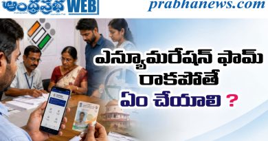 Voter Verification