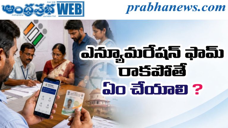 Voter Verification