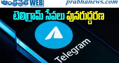 Telegram Ban Lifted