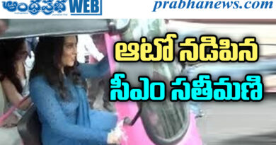 Pink E-Rickshaw