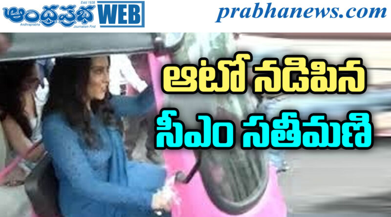 Pink E-Rickshaw