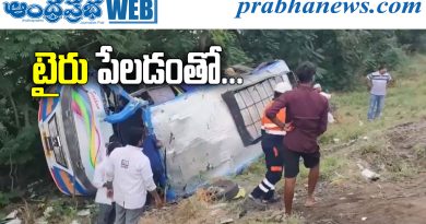 Van Accident