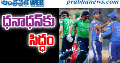 Cricket