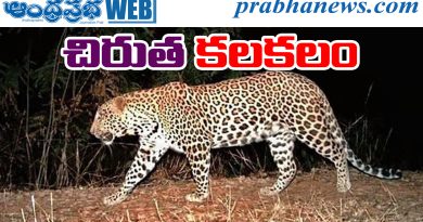 Baswapur