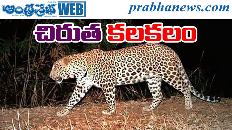 Baswapur