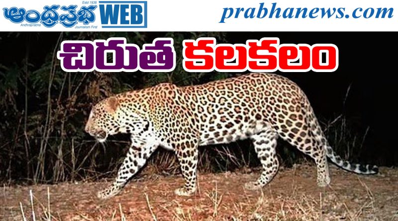 Baswapur