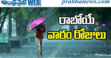 Rain Alert
