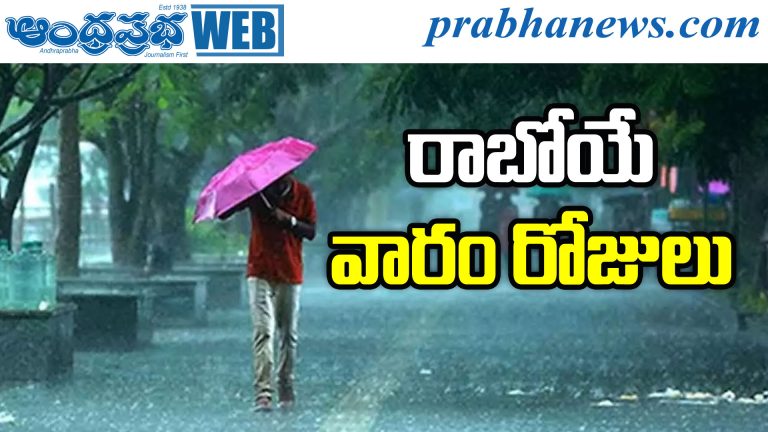 Rain Alert