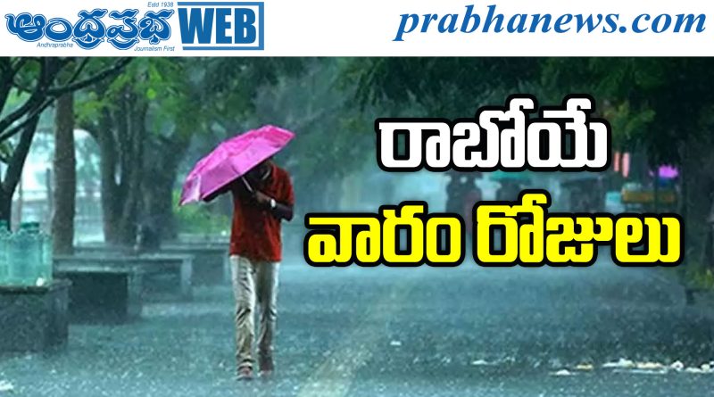 Rain Alert