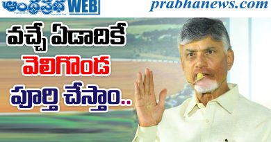 veligonda project