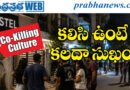 Co-Living Culture