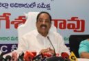 ఆయిల్ పామ్, ఉద్యాన పంటలే రైతుల భవిష్యత్‌కు భరోసా