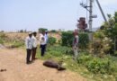 విద్యుత్ ట్రాన్స్‌ఫార్మర్ కంచెకు తగిలి గేదె మృతి..