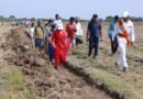 మండే ఎండలలో.. ఉపాధి కూలీలతో వరంగల్ కలెక్టర్