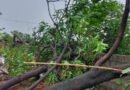 మహాగంలో గాలివాన బీభత్సం..