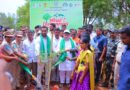 మొక్కలు నాటే ఉద్యమం చేద్దాం..