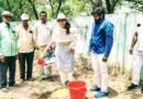 నాటిన మొక్కలే భవిష్యత్ తరాల జీవనాధారం