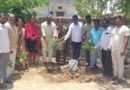 ఘనంగా ప్రపంచ పర్యావరణ దినోత్సవం..
