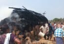 ప్రమాదవశాత్తూ గడ్డివాము దగ్ధం..