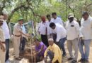 అటవీశాఖలో ఘనంగా వన మహోత్సవం..