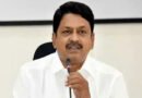 YCP Politics
