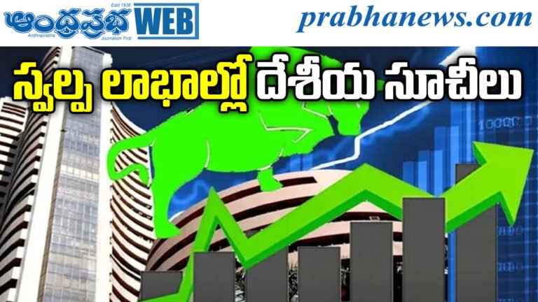 Stock Market