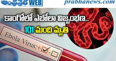 Ebola Virus