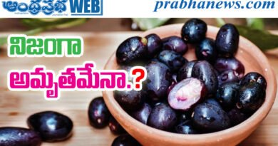 Jamun Health