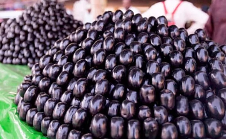 Jamun Health