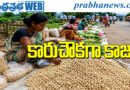 Nala Jamtara Cashew Nuts Price | కిలో కాజు రూ.30కే.. ఇది నిజమేనా?