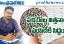 పచ్చిరొట్ట విత్తనాలు పంపిణీకి సిద్ధం..