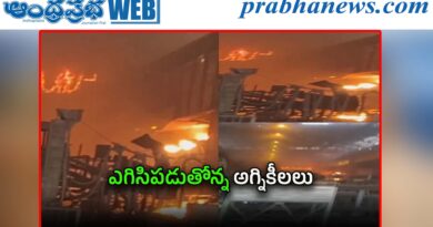 Vizag Steel Plant |