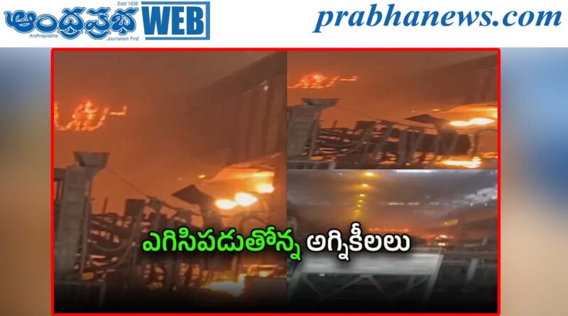 Vizag Steel Plant |