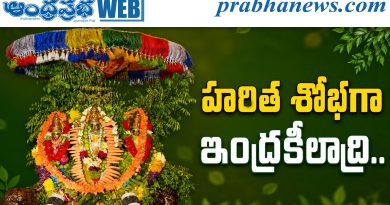 Vijayawada | పండ్లు, కూరగాయలు, ఆకుకూరలతో కనువిందు..