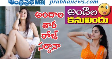 rose sardana | బాలీవుడ్‌లో యువ న‌టి జోరు